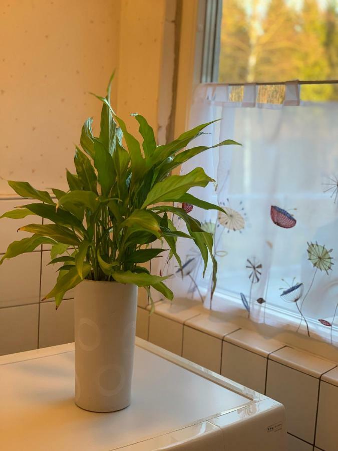 Cozy House In Kosta Center Surrounding With Swedish Nature Esterno foto